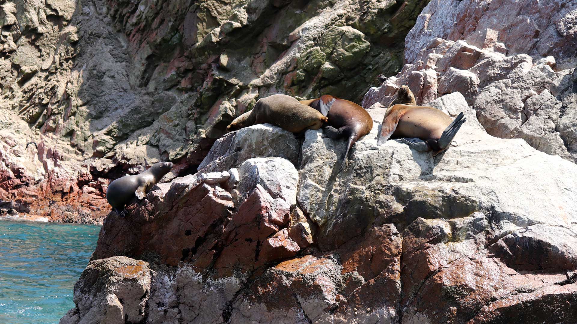 Ballestas Islands and Paracas - Azamara Journey - March 16, 2027
